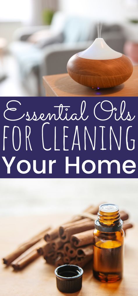 Cleaning your home can be done naturally using essential oils. I've put together a list of my favorite essential oils for cleaning your home. These essential oils are great for cleaning floors, disinfecting, and diffusing in the air. - simplytodaylife.com #EssentialOils #CleaningWithEssentialOils #EssentialOilsCleaner #DisinfectingOils #CleaningOils #ChemicalFree #NaturalCleaner Natural Floor Cleaner, Essential Oils For Cleaning, Best Smelling Essential Oils, How To Clean Clams, Baking Soda On Carpet, Cleaning Floors, Floor Cleaners, Natural Floor, Essential Oil Brands