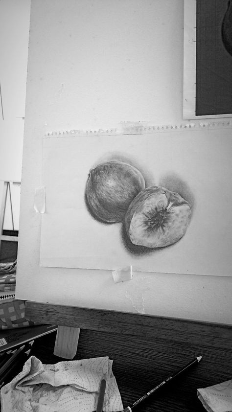 Peach Drawing in chiaroscuro pencils classes still life Peach Drawing, Chiaroscuro, Still Life, Pencil, Fruit, Drawings, Art