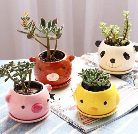 Cute ceramic  pot planter animals with self saucer, pig, bear, chick, panda by MyCutestThing on Etsy Pots Design Ideas, Pots Design, Cute Pots, Cheap Flower Pots, Ceramic Pinch Pots, Animal Planters, Pinch Pots, Pot Designs, Bonsai Pots