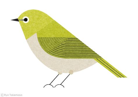 Ryo Takemasa | Bird handbook Ryo Takemasa, Bird Icon, Geometric Bird, Bird Graphic, Bird Quilt, Affinity Designer, White Eyes, Amazing Drawings, Bird Drawings