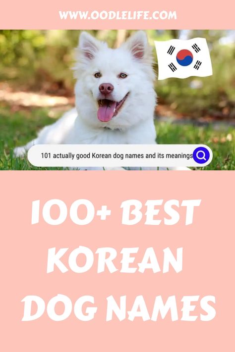 Korean Name For Dog, Korean Pet Names, Cute Names For Puppies, Korean Dog Names, Dog Symbolism, Puppy Girl Names, Pet Names For Dogs, Puppy Advice