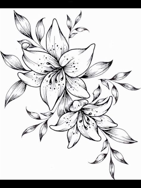 Lily Vine Tattoo Design, Lillie Tattoos For Women, Tiger Lily Tattoo Stencil, Tiger Lilly Tattoo Design, Black And White Lily Tattoo, Lily Outline Tattoo, Tiger Lily Flower Drawing, Lily Floral Tattoo, Tiger Lilly Drawing