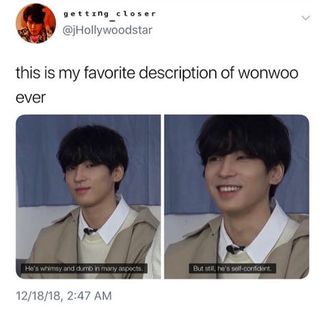 Seventeen Meme, Pledis Seventeen, Choi Hansol, Seventeen Memes, Won Woo, Seventeen Going Seventeen, Jeon Wonwoo, Funny Kpop Memes, Seventeen Wonwoo