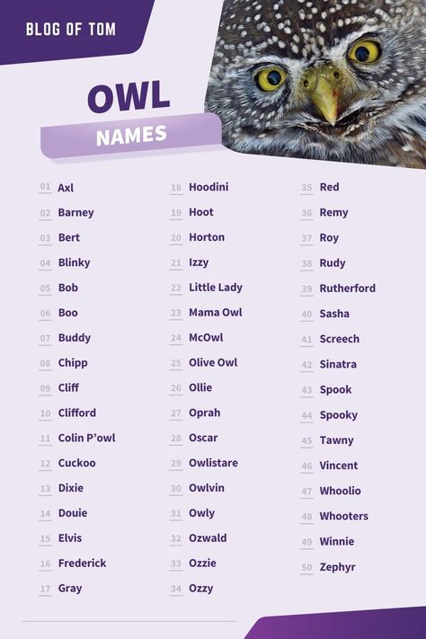 Owl Names Owl Names Ideas, Egyptian Names Female, Bird Names Ideas, Fantasy Town Names, Names For Animals, Harry Potter Tea Party, Pet Owl, Magical Owl, Bike Names