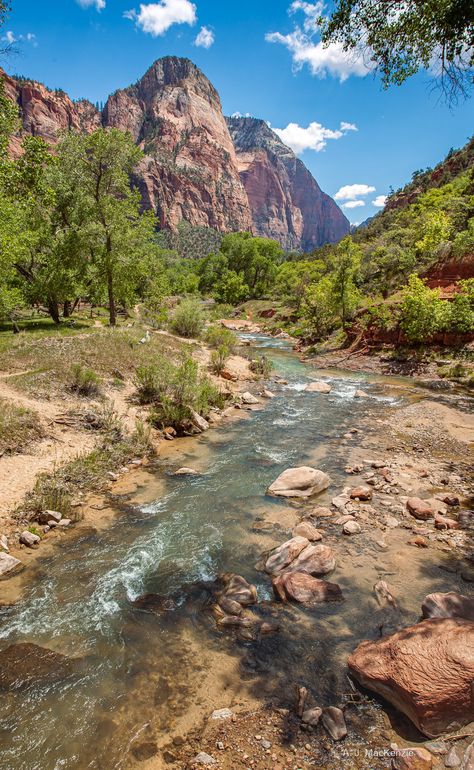 Virgin River, Utah Travel, Nature Adventure, Gods Creation, Filming Locations, Cute Photos, Four Seasons, Mother Nature, Trip Planning