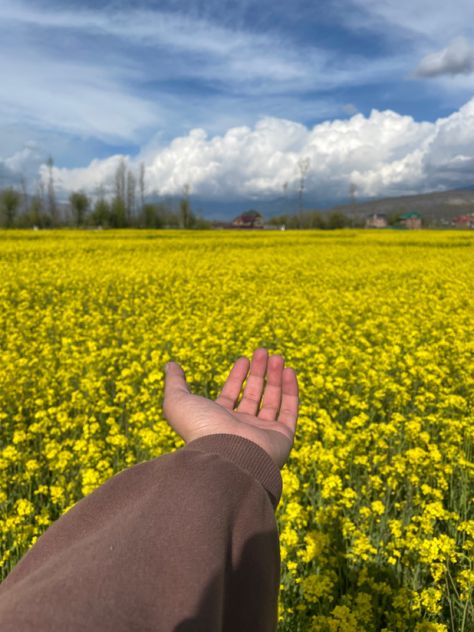 Mustard Field Aesthetic, Mustard Field, Insta Profile, Insta Profile Pic, Profile Pic, Adventure Travel, Mustard, Travel, Quick Saves