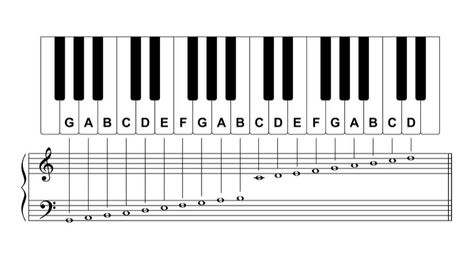 Piano Keys Labeled, Midi Piano, Learn Piano Notes, Full Keyboard, Music Theory Piano, Beginner Piano Music, Notes Piano, Keyboard Lessons, Piano Chords Chart