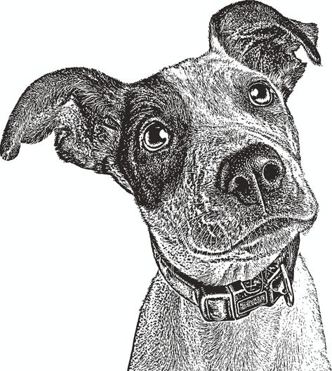 Puppy care 101: 6 essential factors every owner needs to know Bad Dog Drawing, Dog Drawing Illustration, Bad Dog, Training Your Puppy, Puppy Care, Dog Drawing, Art Anime, Free Vector Art, Dog Life