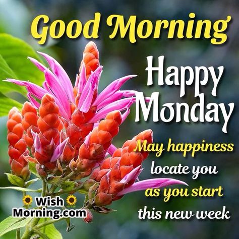 Monday Morning Meme, Monday Morning Images, Monday Morning Greetings, Monday Morning Wishes, Happy Monday Images, Happy Sabbath Images, Monday Greetings, Good Morning Monday Images, Happy Monday Quotes