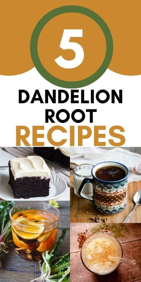 Enjoy five tasty ways to enjoy dandelion root with these easy and flavorful dandelion root recipes, perfect for adding a unique twist to your meals. Dandelion Root Recipes, Herbal Coffee Recipe, Magic Chocolate Cake, Root Recipes, Roasted Dandelion Root, Edible Flowers Recipes, Herbal Coffee, Camping Snacks, Dandelion Root