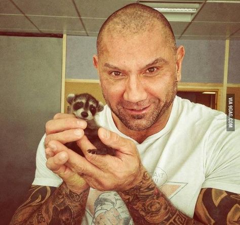 Drax the Destroyer and Rocket Raccoon from Guardians of the Galaxy Drax The Destroyer, Dave Bautista, Baby Raccoon, The Destroyer, Shia Labeouf, Rocket Raccoon, Dc Memes, Marvel Actors, Nerd Alert