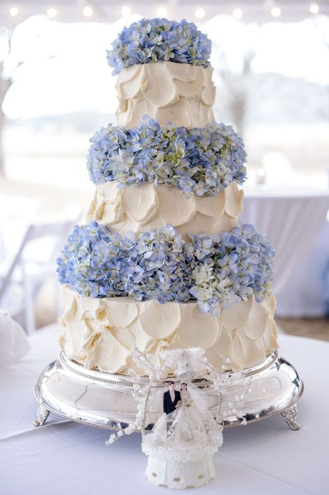 Hydrangea Wedding Cake, Wedding Cake Hydrangea, Hydrangea Cake, Flower Cake Design, Blue Hydrangea Wedding, Ivory Wedding Cake, Wedding Cake Fresh Flowers, Hydrangea Wedding, Fresh Flower Cake