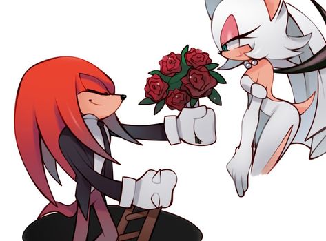 Sonic Ships Art, Rouge The Bat Fanart, Knuckles X Rouge, Sonic Fanart, Funny Marriage, Rouge The Bat, Marriage Photos, Sonic Characters, Sonic Fan Characters