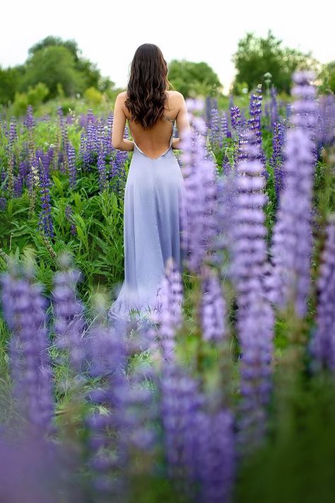 Lupine Flowers, Beautiful Photoshoot Ideas, Lavender Garden, Purple Garden, Spring Photography, Pretty Photos, Lavender Fields, Colorful Garden, Creative Portraits