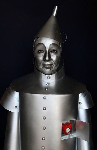 Tin Man | Yasmina | Flickr Diy Tin Man, Diy Tin Man Costume, Funny Diy Costumes, Tin Man Costume, Tin Man Costumes, Wizard Of Oz Musical, Wizard Of Oz Decor, Play Makeup, Tin Man