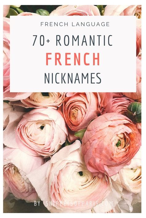 Terms Of Endearment For Guys, French Nicknames, Romantic Nicknames, French Pick Up Lines, French Quotes About Life, French Terms, Nicknames For Girlfriends, Love Nicknames, Pet Names For Boyfriend