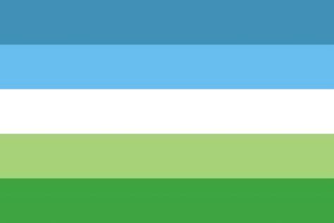 A Non-SAM Aro is an aromantic person who does not use the split attraction model (SAM). A non-SAM aro is simply and only aromantic, and does not identify with any asexual or allosexual identity. Types Of Attraction, Queer Platonic, Trans Pride Flag, Different Flags, Trans Flag, Gender Flags, Difference Of Opinion, Lgbtq Flags, Lgbt Flag