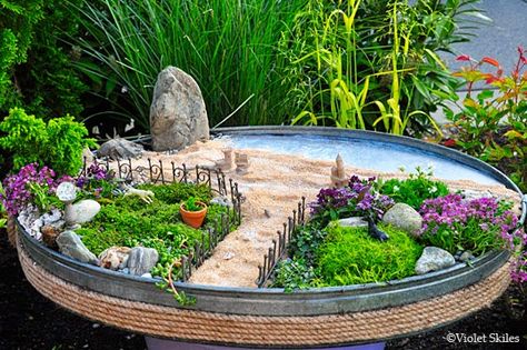 Miniature Garden Inspired by the Beach Beach Fairy Garden, Indoor Fairy Gardens, Fairy Garden Plants, Fairy Garden Furniture, Mini Gardens, Garden Beach, Fairy Garden Crafts, Fairy Garden Designs, Miniature Gardens