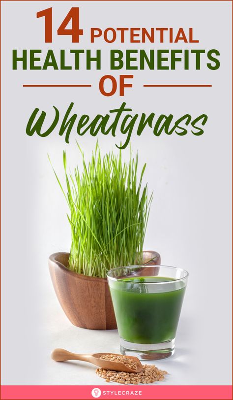 Benefits Of Wheatgrass Powder, Wheatgrass Benefits, Wheatgrass Powder, Growing Healthy Hair, Health Benefits Of Ginger, Ginger Benefits, Reduce Cholesterol, Alkaline Foods, Eating Organic