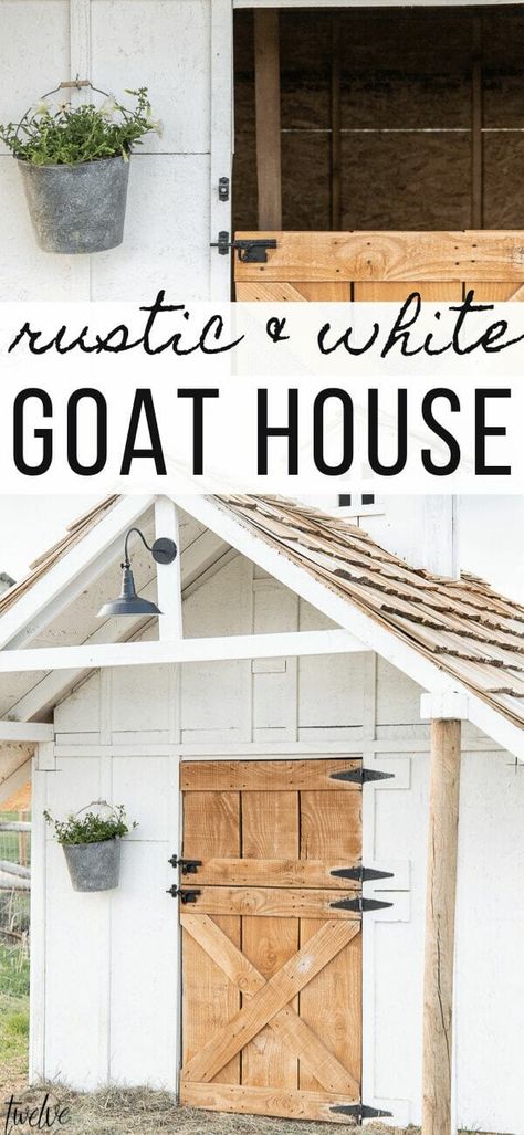 Simple and Stylish Goat House Design - Twelve On Main Coop Decor, Goat Shed, Livestock Barn, Goat Shelter, Goat Pen, Goat House, Goat Care, Goat Barn, Homestead Farm