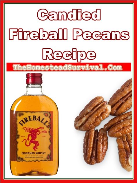 Fireball Candied Pecans, Fireball Pecans, Fireball Balls Recipe, Fireball Cookies, Fireball Whiskey Recipes, Fireball Recipes, Whiskey Recipes, Fireball Whiskey, High Calorie