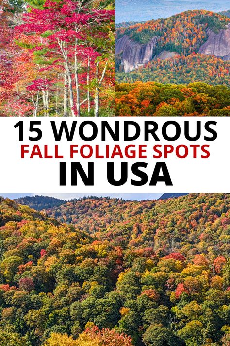 Red foliage in Maine; fall colors in Pisgah National Forest; fall foliage along Blue Ridge Parkway in North Carolina; text: 15 wondrous fall foliage spots in USA. Bucket List Usa, Fall Foilage, September Fall, Vermont Vacation, Usa Bucket List, The Poconos, Usa Destinations, Fall Road Trip, Leaf Peeping