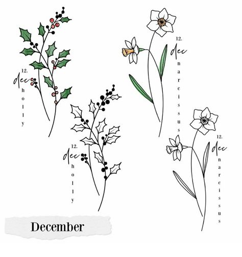 December Birth Flower Spine Tattoo, December Birth Flower Drawing, Flower Tattoo With Date Stem, December Flower Drawing, December Tattoo Ideas Birth Month, Flower Tattoo Ribcage, Jdm Tattoo, December Tattoos Ideas, December Birth Flowers