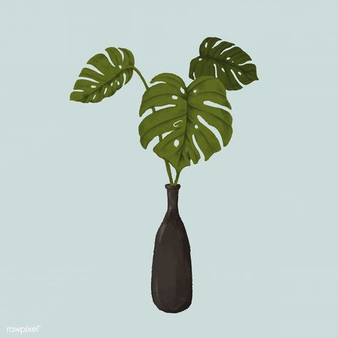 Monstera split-leaf in a vase sketch style vector | premium image by rawpixel.com / Noon Philodendron Drawing, Vase Sketch, Split Leaf Philodendron, Plant Drawings, Quotes Background, Aesthetic Illustration, Sketch Style, Black Vase, Monstera Plant