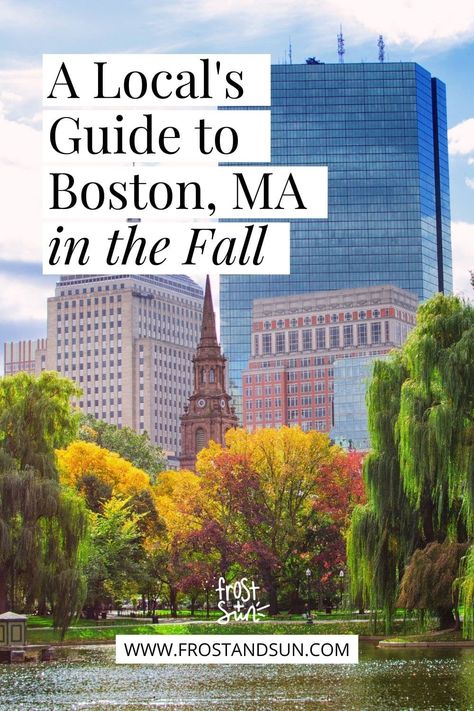 Photo of the Boston Common park in the Fall. Text at the top reads "A Local's Guide to Boston, MA in the Fall." Boston Fall Outfits October, Boston October Trip, Boston Fall Travel, Boston Fall Itinerary, Massachusetts In The Fall, Boston Packing List Fall, Things To Do In Boston In October, What To Wear In Boston In October, Boston In October Outfits