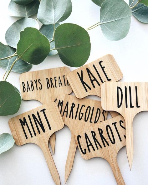 Cricut Garden Markers, Cricut Garden Projects, Pinterest Ideas, Garden Markers, Program Ideas, Fun Craft, Ferm Living, Herb Garden, Garden Projects