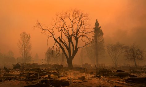 COFFEY PARK, 7:59 A.M., OCT. 9: Much of the Santa Rosa neighborhood was destroyed before sunrise on October 9. (Photo by Kent Porter) Destroyed Landscape, Destroyed Nature, Nuclear Wasteland, Wildland Firefighter, Painting References, Collage Art Projects, Vibe Check, Environment Art, English Writing Skills