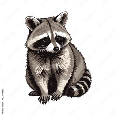 Hand Drawn Raccoon Illustration Raccoon Art Illustration, Cartoon Raccoon Drawing, Racoon Sketch, Racoon Cartoon, Racoon Drawings, Racoon Drawing, Raccoon Sketch, Racoon Illustration, Raccoon Painting