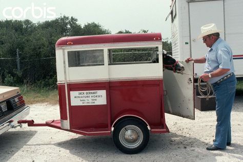 http://www.replacementtrailerparts.com/ has some useful info on the types of trailers that are available in the marketplace and some practical maintenance tips. Miniature Ponies, Livestock Trailers, Fifth Wheel Trailers, Shetland Pony, Mini Farm, Mini Horse, Horse Trailers, Miniature Horse, Horse Crazy