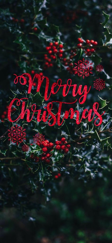 Happy Holidays Quotes Christmas, Merry Christmas Pics, Christmas Greetings Quotes Messages, Merry Christmas Status, Holiday Quotes Christmas, Seasonal Wallpaper, Merry Christmas Wallpaper, Christmas Wallpaper Backgrounds, Xmas Wallpaper