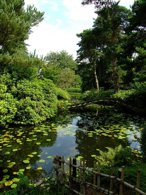 Backyard Japanese Garden, Japanese Park, Japanese Garden Ideas, Tatton Park, Garden Japanese, Building A Pond, Fountains Backyard, Japanese Garden Design, Nature Wallpapers