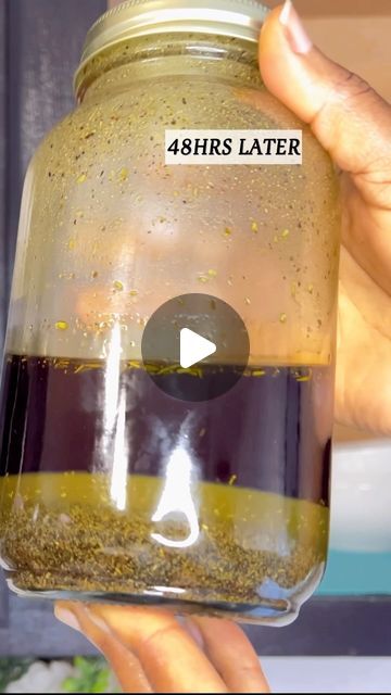 Monee Mapleh Gray on Instagram: "Herbal oil for Hair thickness and growth.  Ingredients  Moringa Cloves Green Tea Rosemary  Fenugreek  2 tablespoons of each ingredients. Use the double boiler method and infuse it for as long as you want to. I infused mine for 48 hours.  . . . . . . #herbalhaircare #herbalhairgrowthoil #rosemaryoilbenefits #hairgrowthoil #homemadehairgrowthoil #haircaretipsandproducts #naturalhair   Let your light so shine before men, that they may see your good works, and glorify your Father which is in heaven.~ Matt 5:16" Rosemary Infused Oil For Hair, Rosemary Tea For Hair Growth, Moringa For Hair Growth, Fenugreek And Rosemary For Hair Growth, Rosemary Hair Oil Recipe, Clove Oil For Hair Growth, Best Oils For Hair Growth, Homemade Hair Growth Oil, Rosemary For Hair