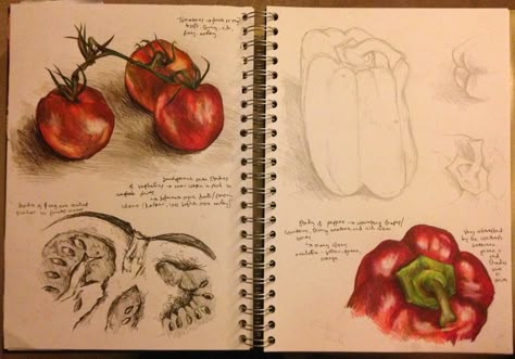 Art Foundation Sketchbook, Fruit Sketchbook Page, Leaving Cert Art Sketchbook, Fruit Art Gcse, Natural Forms Sketchbook, Gcse Art Sketchbook Layout, Art Sketchbook Pages, Art Sketchbook Layout, Drawing Ideas Creative Sketchbooks