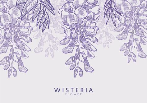 Free Hand Drawn Wisteria Flower Vectors Wisteria Logo Design, Wisteria Flower, Boho Wedding Photography, Bond Paper Design, Japanese Art Styles, Purple Wildflowers, Calligraphy Art Print, Free Hand Drawing, Simple Iphone Wallpaper