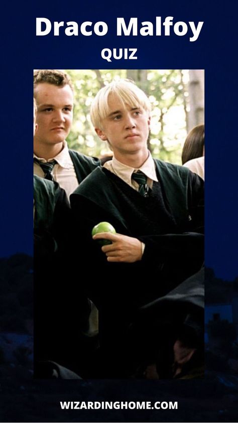 Draco Malfoy Quiz, Slytherin Quiz, Quiz Me, My Father, Draco Malfoy, Turning, Harry Potter