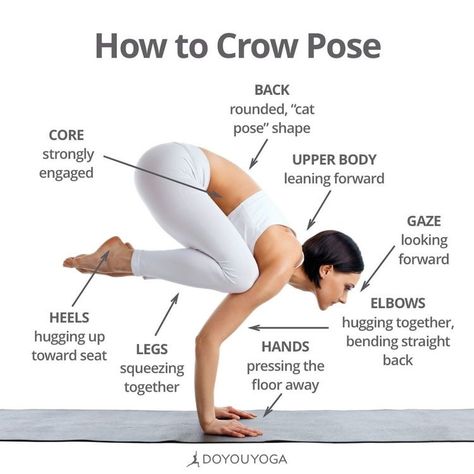 How To Crow Pose 🖤 One of my favs #yoga Ashtanga Vinyasa Yoga, Yoga Kundalini, Forward Bend, Crow Pose, Arm Balances, Yoga Beginners, Yoga Techniques, Sup Yoga, Yoga Iyengar