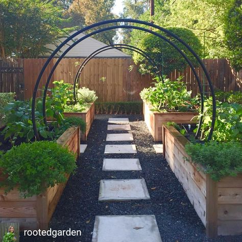 Raised beds with arched trellises Shed Inspiration, Garden Arch Trellis, Arch Trellis, Garden Vines, Veg Garden, Vegetable Garden Design, Raised Bed, Garden Trellis, Garden Layout