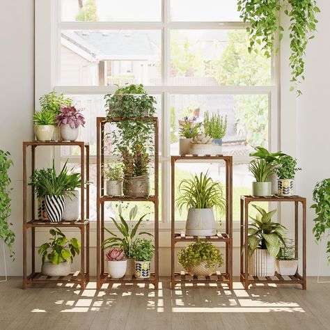 Best indoor plants