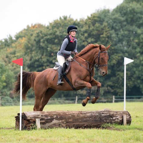 Inspire your lazy horse with our expert advice in December Horse&Rider! Horse With Rider, Xc Horse, Horse Riding Jumping, Cross Country Horse Riding, Horse Free Jumping, Horse Jumping Cross Rails, Cross Country Jumps Equestrian, Horse Jumping Photography, Horse Walker