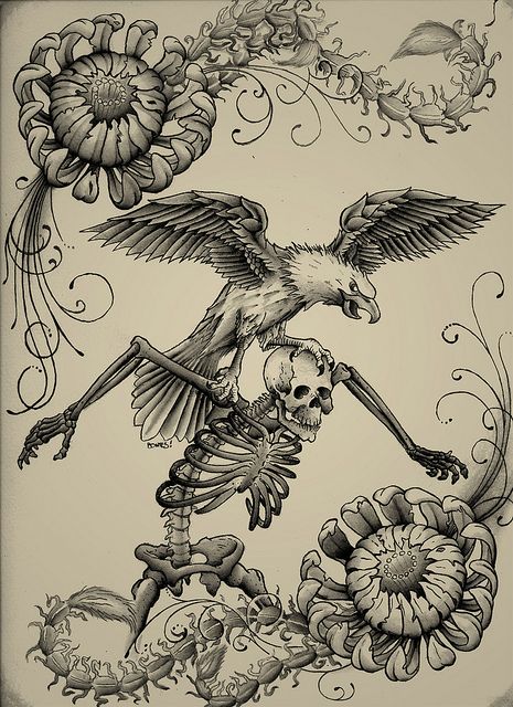 eagle and skeleton by bones!, via Flickr Eagle Skeleton Tattoo, Eagle Skeleton, Raven Skeleton, Rooster Tattoo, Reaper Art, Skeleton Tattoo, Grim Reaper Art, Skeleton Drawings, Skeleton Tattoos