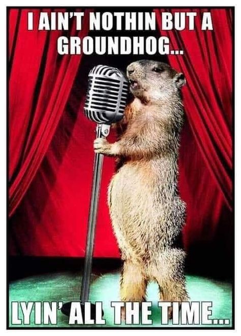 I Ain’t Nothing But a Groundhog, Lying All the Time. Quotes For Me, Punxsutawney Phil, Song Memes, Happy Groundhog Day, Best Birthday Quotes, Laughter The Best Medicine, Birthday Quotes For Me, Truth Ideas, Birthday Quotes Funny