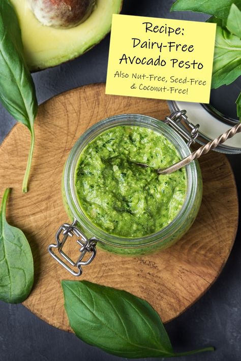 Dairy-Free Avocado Pesto Recipe Dairy Free Pesto Recipe, Avocado Pesto Recipe, Nut Free Pesto, Stocked Pantry, Dairy Free Pesto, Pesto Recipes, Vegan Dips, Sandwich Sauces, Gluten Free Appetizers