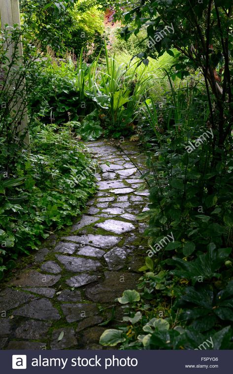 Download this stock image: stone path pathway lead leading garden gardening feature art design RM Floral - F5PYG6 from Alamy's library of millions of high resolution stock photos, illustrations and vectors. Path Drawing, Stone Path, Featured Art, High Resolution, Stock Images, Art Design, Resolution, Stock Photos, Illustrations