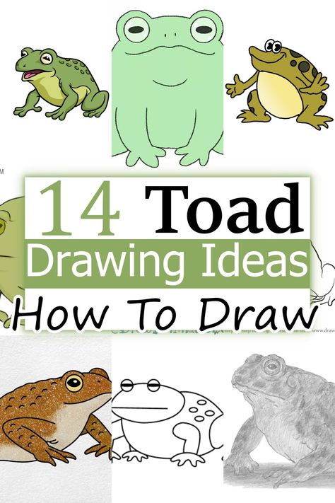 14 Easy Toad Drawing Ideas - How To Draw Toad Frogs And Toads, Cute Toad Drawing, Toad Sketch, Toad Cartoon, Toad Drawing, Drawing Collection, Art Skills, Family Drawing, Your Drawing