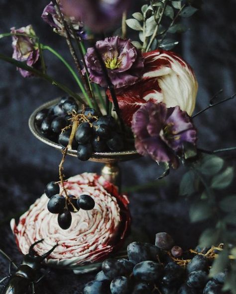 Austin Floral Designer on Instagram: "Happy Halloween! Some moody work we created for @chromafloral to celebrate the day that unfortunately hasn’t been the spookiest of the year. . . . #florist #halloween #stilllife #stilllifephotography #phitography #floraldesign #spooky #fineartflorist #austintexas #flowersofinstagram" Halloween Florals, Roblox Halloween, Dutch Still Life, Moody Aesthetic, Halloween Floral, Floral Designer, Vision Boards, Still Life Photography, Styled Shoot