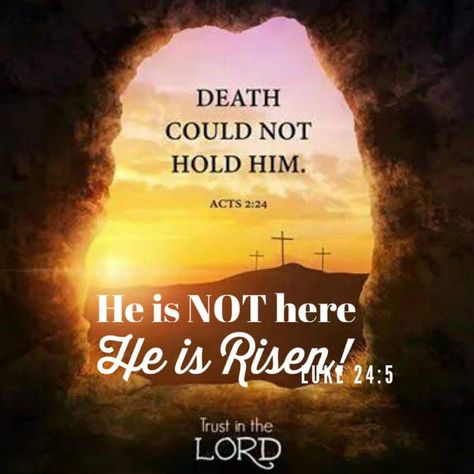 Resurrection Quotes, Comfort Verses, John 11:25-26 The Resurrection, Resurrection Day, Christian Resources, Jesus Resurrection, Pictures Of Jesus Christ, Christian Quotes Prayer, Faith Over Fear